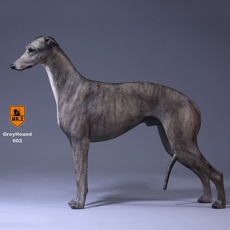 1:6 Mr.Z Resin PVC Miniature Lifelike Animal Model Greyhound Dog Model Toy Fit 12