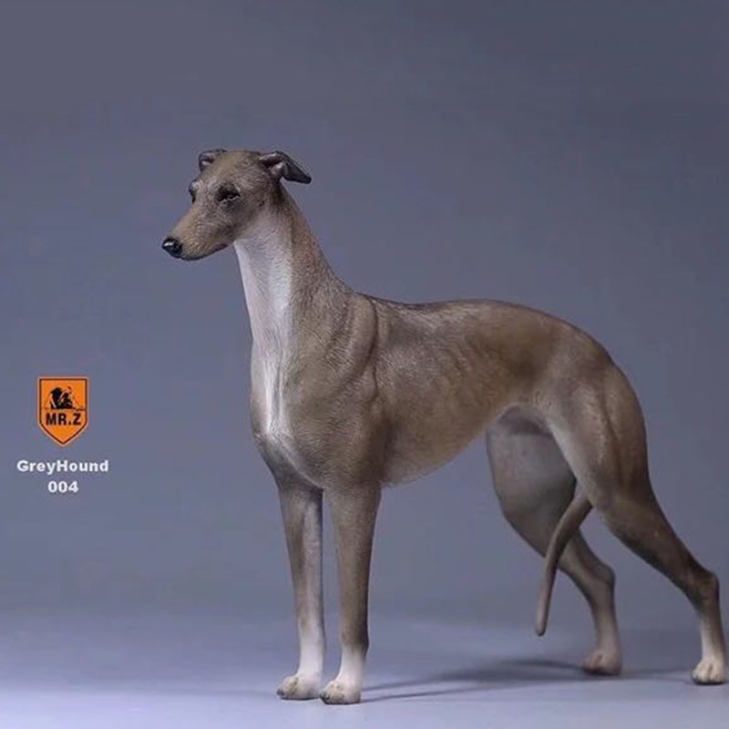 1:6 Mr.Z Resin PVC Miniature Lifelike Animal Model Greyhound Dog Model Toy Fit 12
