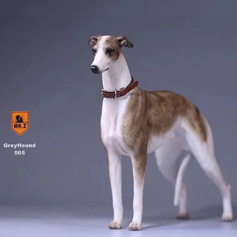 1:6 Mr.Z Resin PVC Miniature Lifelike Animal Model Greyhound Dog Model Toy Fit 12