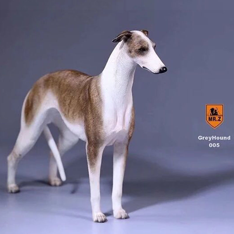 1:6 Mr.Z Resin PVC Miniature Lifelike Animal Model Greyhound Dog Model Toy Fit 12