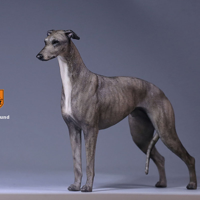 1:6 Mr.Z Resin PVC Miniature Lifelike Animal Model Greyhound Dog Model Toy Fit 12