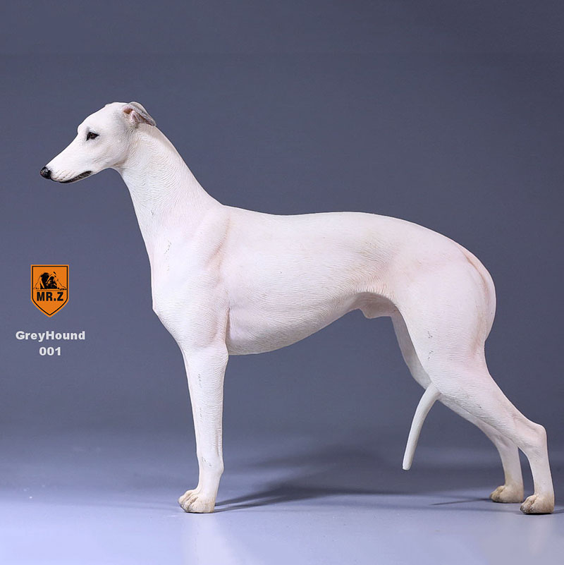 1:6 Mr.Z Resin PVC Miniature Lifelike Animal Model Greyhound Dog Model Toy Fit 12