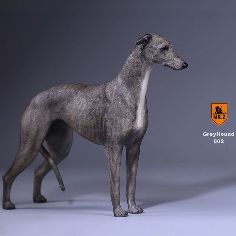1:6 Mr.Z Resin PVC Miniature Lifelike Animal Model Greyhound Dog Model Toy Fit 12