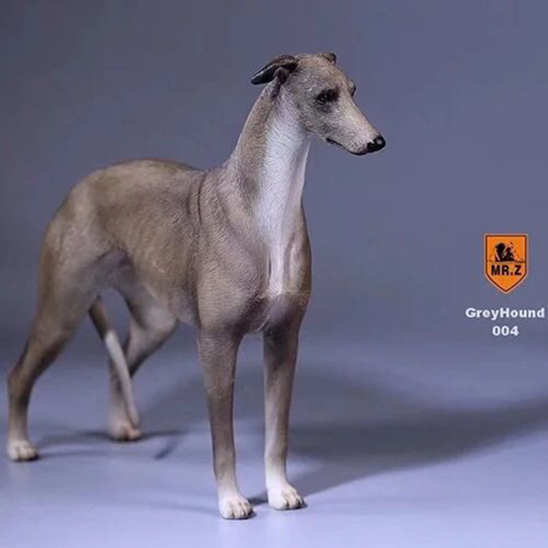 1:6 Mr.Z Resin PVC Miniature Lifelike Animal Model Greyhound Dog Model Toy Fit 12