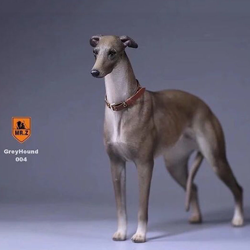 1:6 Mr.Z Resin PVC Miniature Lifelike Animal Model Greyhound Dog Model Toy Fit 12