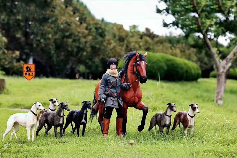 1:6 Mr.Z Resin PVC Miniature Lifelike Animal Model Greyhound Dog Model Toy Fit 12