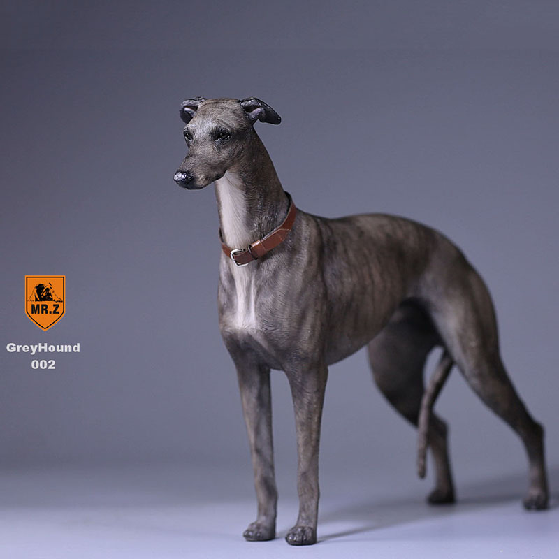 1:6 Mr.Z Resin PVC Miniature Lifelike Animal Model Greyhound Dog Model Toy Fit 12