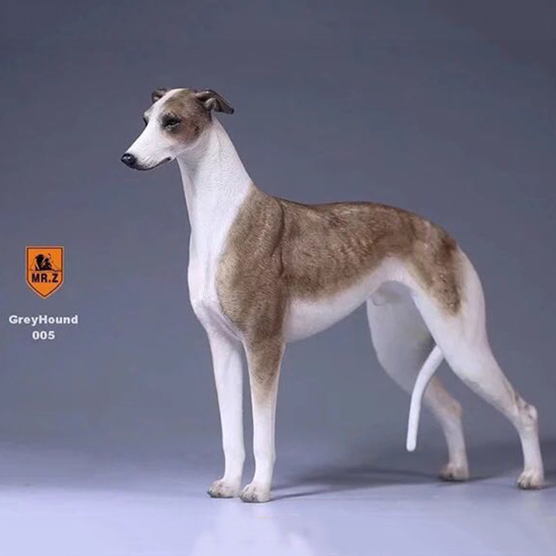 1:6 Mr.Z Resin PVC Miniature Lifelike Animal Model Greyhound Dog Model Toy Fit 12