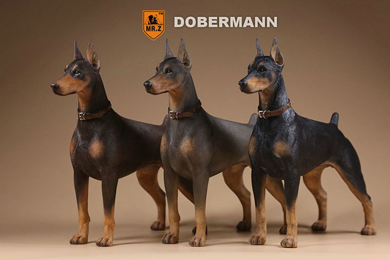 Mr.Z 1/6 Simulation Animal Police Dog Doberman Pet Dog Model Toys Collection Gift Model F 12