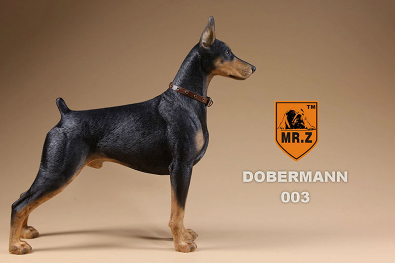 Mr.Z 1/6 Simulation Animal Police Dog Doberman Pet Dog Model Toys Collection Gift Model F 12