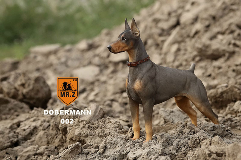 Mr.Z 1/6 Simulation Animal Police Dog Doberman Pet Dog Model Toys Collection Gift Model F 12