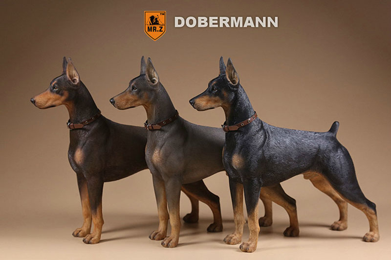 Mr.Z 1/6 Simulation Animal Police Dog Doberman Pet Dog Model Toys Collection Gift Model F 12