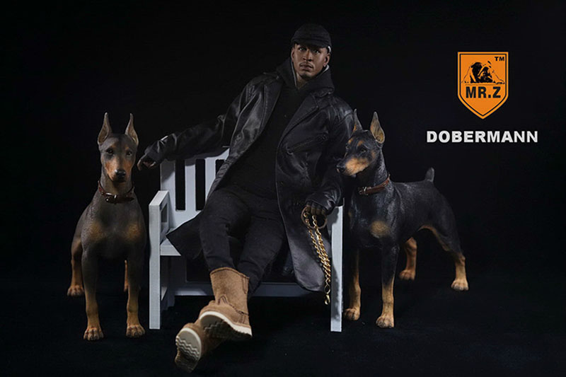 Mr.Z 1/6 Simulation Animal Police Dog Doberman Pet Dog Model Toys Collection Gift Model F 12