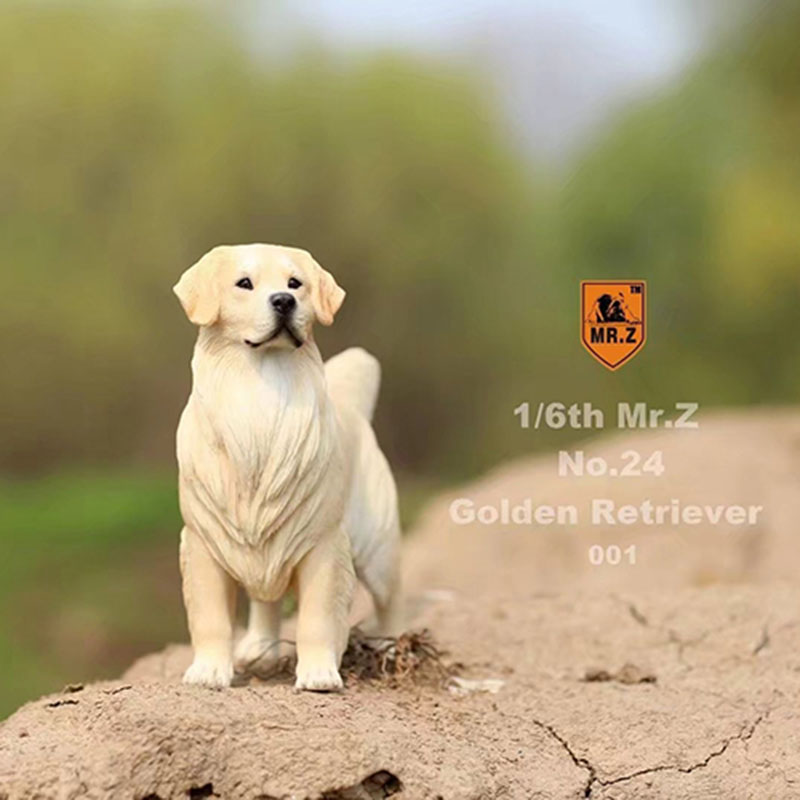 Mr.Z 1:6 Resin PVC No.24 Miniature Animal Model Golden Retriever Dog Models Toy Fit 12