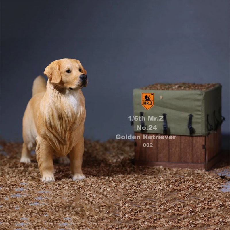 Mr.Z 1:6 Resin PVC No.24 Miniature Animal Model Golden Retriever Dog Models Toy Fit 12