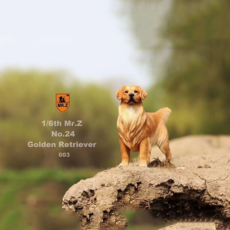 Mr.Z 1:6 Resin PVC No.24 Miniature Animal Model Golden Retriever Dog Models Toy Fit 12