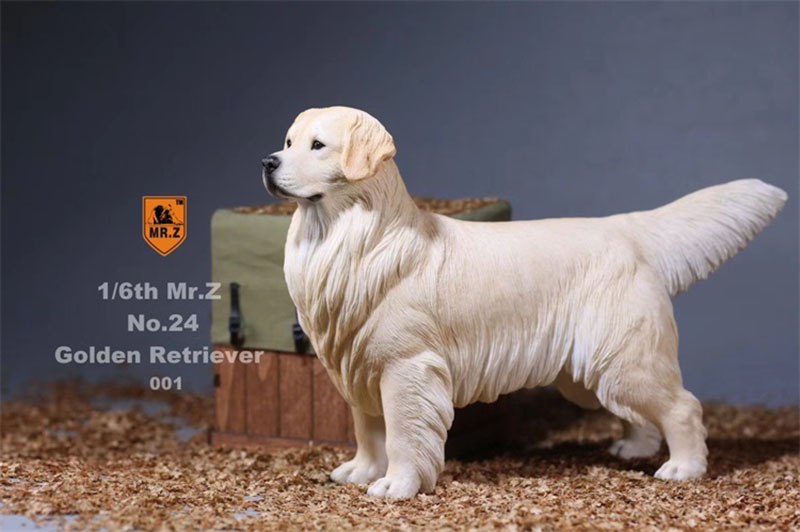 Mr.Z 1:6 Resin PVC No.24 Miniature Animal Model Golden Retriever Dog Models Toy Fit 12
