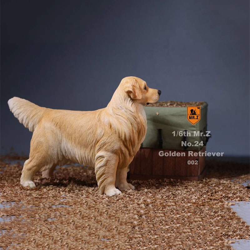 Mr.Z 1:6 Resin PVC No.24 Miniature Animal Model Golden Retriever Dog Models Toy Fit 12