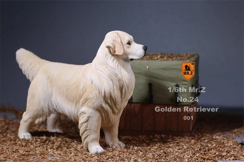 Mr.Z 1:6 Resin PVC No.24 Miniature Animal Model Golden Retriever Dog Models Toy Fit 12