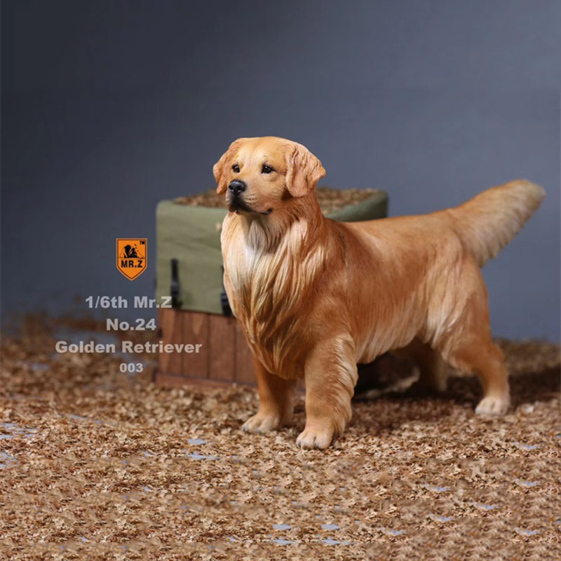 Mr.Z 1:6 Resin PVC No.24 Miniature Animal Model Golden Retriever Dog Models Toy Fit 12