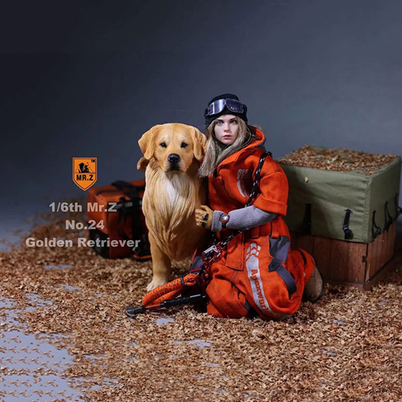 Mr.Z 1:6 Resin PVC No.24 Miniature Animal Model Golden Retriever Dog Models Toy Fit 12