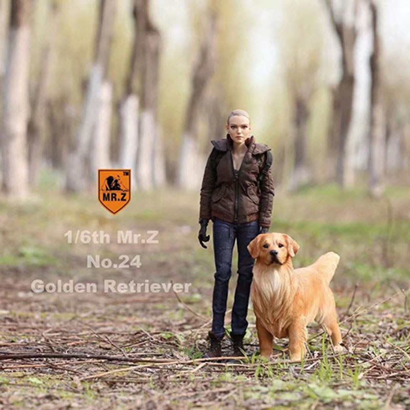 Mr.Z 1:6 Resin PVC No.24 Miniature Animal Model Golden Retriever Dog Models Toy Fit 12