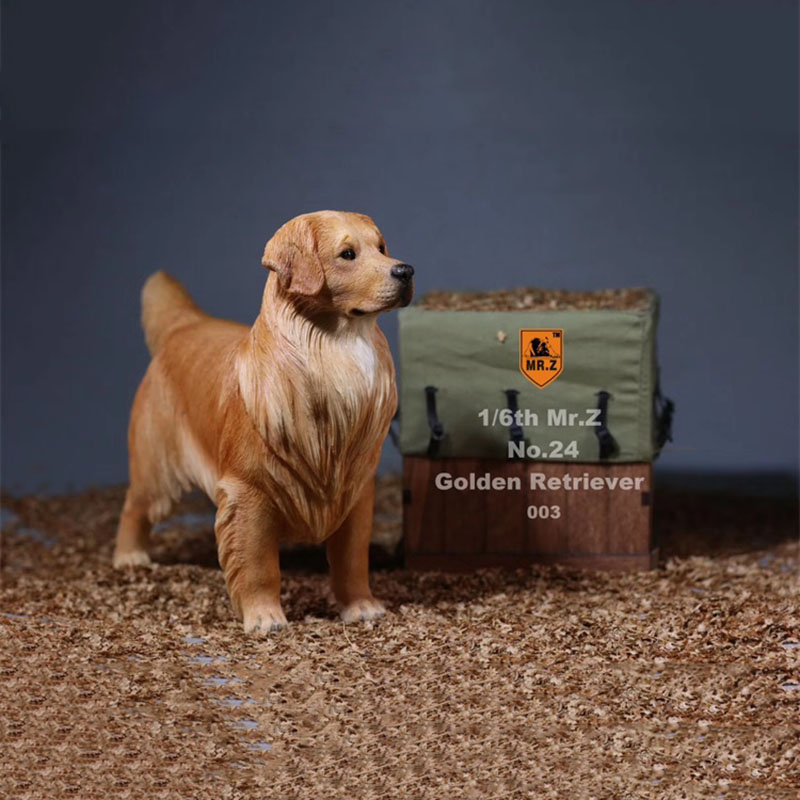 Mr.Z 1:6 Resin PVC No.24 Miniature Animal Model Golden Retriever Dog Models Toy Fit 12