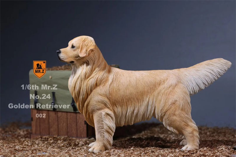 Mr.Z 1:6 Resin PVC No.24 Miniature Animal Model Golden Retriever Dog Models Toy Fit 12