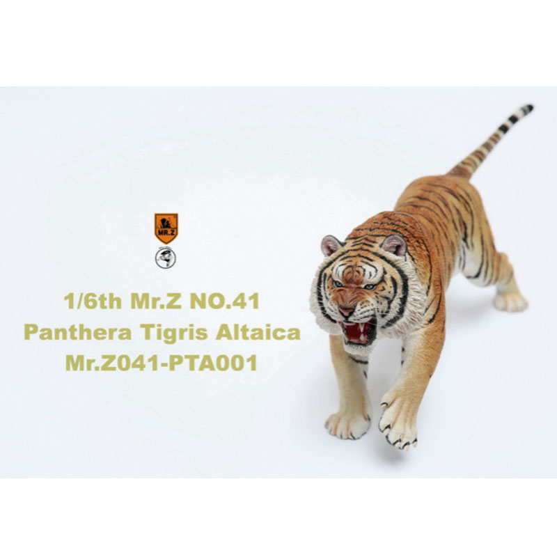Mr.Z 1/6th about 52CM 041-PTA001 Simulation Asian Tiger Panthera Tigris Altaica Animal Resin Model Toy Decoration Gift Souvenir