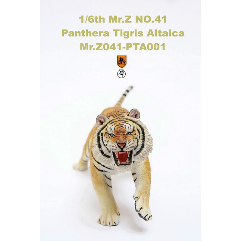 Mr.Z 1/6th about 52CM 041-PTA001 Simulation Asian Tiger Panthera Tigris Altaica Animal Resin Model Toy Decoration Gift Souvenir