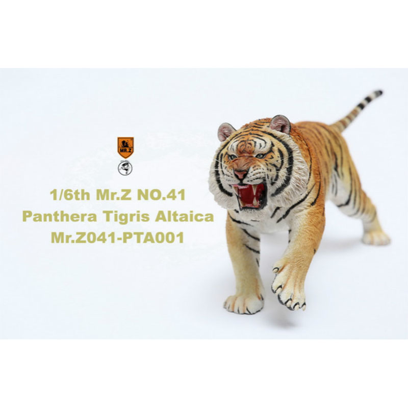 Mr.Z 1/6th about 52CM 041-PTA001 Simulation Asian Tiger Panthera Tigris Altaica Animal Resin Model Toy Decoration Gift Souvenir