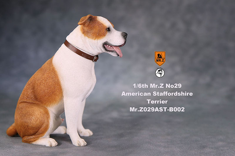 1/6 Mr.Z No.29 American Staffordshire Terrier Dog Simulation Animal Model Toy for Action Figure Doll Decoration Souvenir Gifts 1/6 Mr.Z No.29 American Staffordshire Terrier Dog Simulation Animal Model Toy for Action Figure Doll Decoration Souvenir Gifts