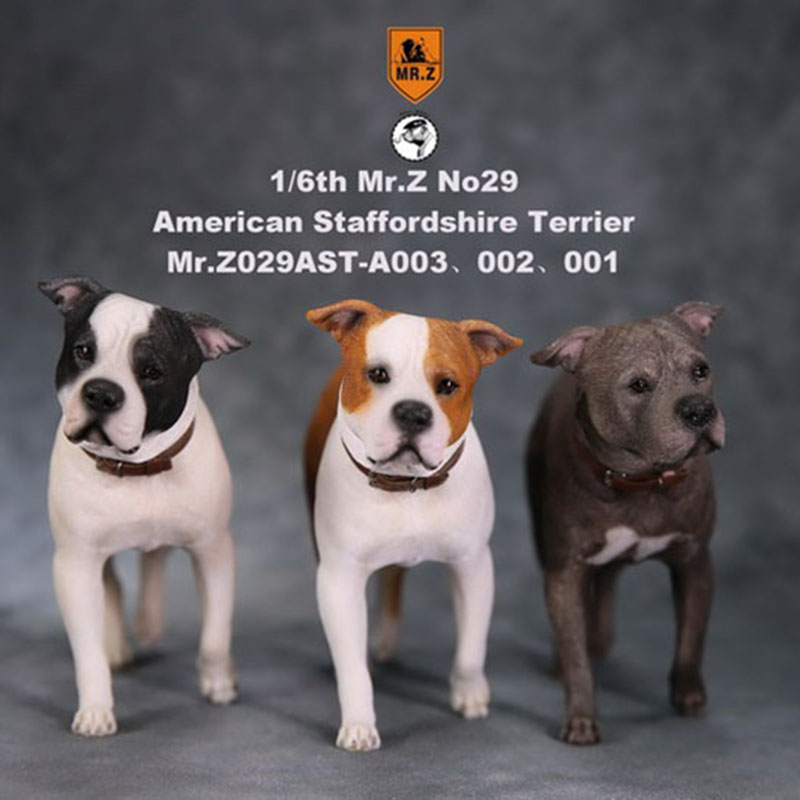 1/6 Mr.Z No.29 American Staffordshire Terrier Dog Simulation Animal Model Toy for Action Figure Doll Decoration Souvenir Gifts 1/6 Mr.Z No.29 American Staffordshire Terrier Dog Simulation Animal Model Toy for Action Figure Doll Decoration Souvenir Gifts