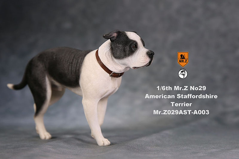 1/6 Mr.Z No.29 American Staffordshire Terrier Dog Simulation Animal Model Toy for Action Figure Doll Decoration Souvenir Gifts 1/6 Mr.Z No.29 American Staffordshire Terrier Dog Simulation Animal Model Toy for Action Figure Doll Decoration Souvenir Gifts