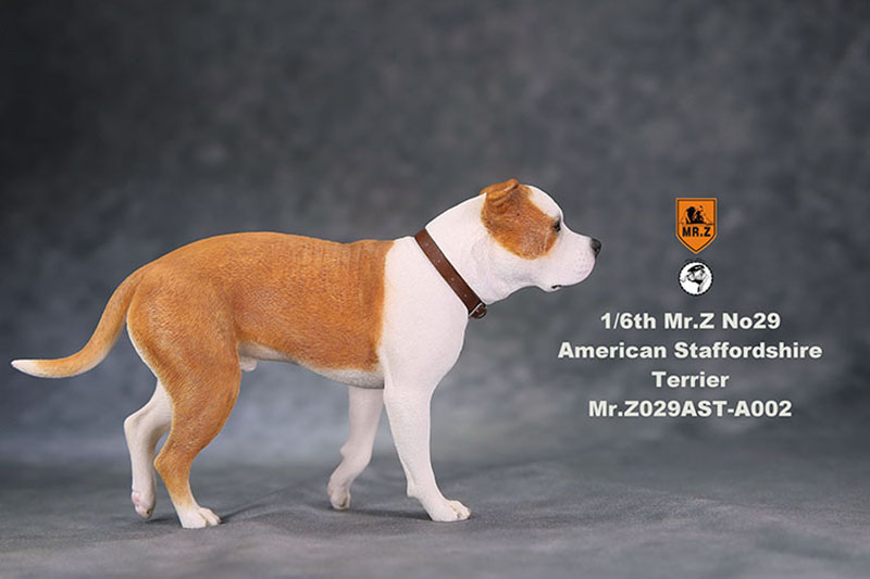 1/6 Mr.Z No.29 American Staffordshire Terrier Dog Simulation Animal Model Toy for Action Figure Doll Decoration Souvenir Gifts 1/6 Mr.Z No.29 American Staffordshire Terrier Dog Simulation Animal Model Toy for Action Figure Doll Decoration Souvenir Gifts