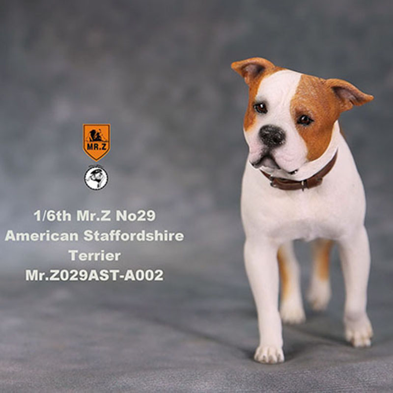 1/6 Mr.Z No.29 American Staffordshire Terrier Dog Simulation Animal Model Toy for Action Figure Doll Decoration Souvenir Gifts 1/6 Mr.Z No.29 American Staffordshire Terrier Dog Simulation Animal Model Toy for Action Figure Doll Decoration Souvenir Gifts