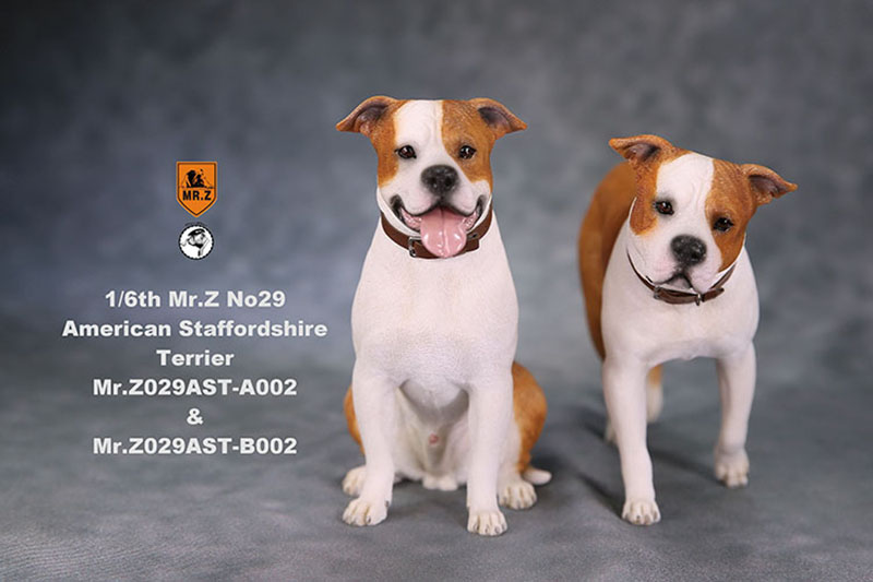 1/6 Mr.Z No.29 American Staffordshire Terrier Dog Simulation Animal Model Toy for Action Figure Doll Decoration Souvenir Gifts 1/6 Mr.Z No.29 American Staffordshire Terrier Dog Simulation Animal Model Toy for Action Figure Doll Decoration Souvenir Gifts