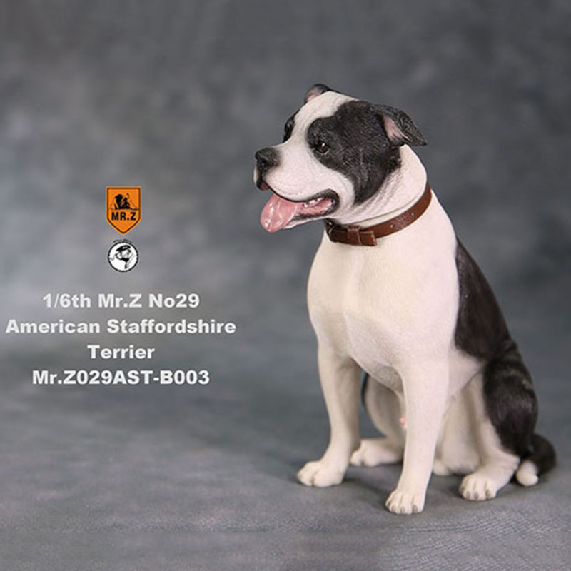 1/6 Mr.Z No.29 American Staffordshire Terrier Dog Simulation Animal Model Toy for Action Figure Doll Decoration Souvenir Gifts 1/6 Mr.Z No.29 American Staffordshire Terrier Dog Simulation Animal Model Toy for Action Figure Doll Decoration Souvenir Gifts