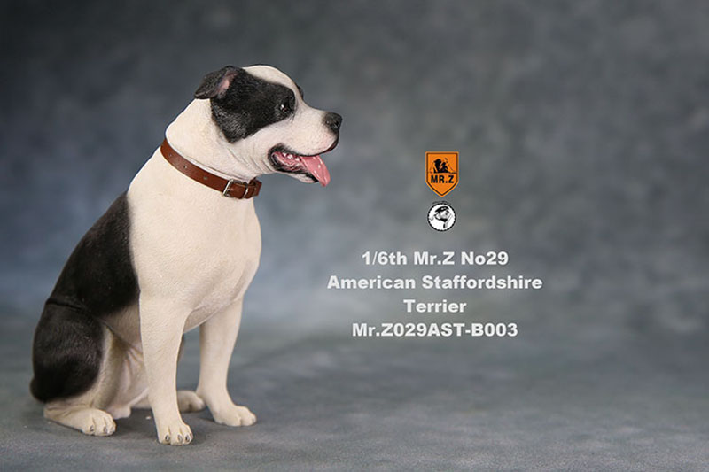 1/6 Mr.Z No.29 American Staffordshire Terrier Dog Simulation Animal Model Toy for Action Figure Doll Decoration Souvenir Gifts 1/6 Mr.Z No.29 American Staffordshire Terrier Dog Simulation Animal Model Toy for Action Figure Doll Decoration Souvenir Gifts