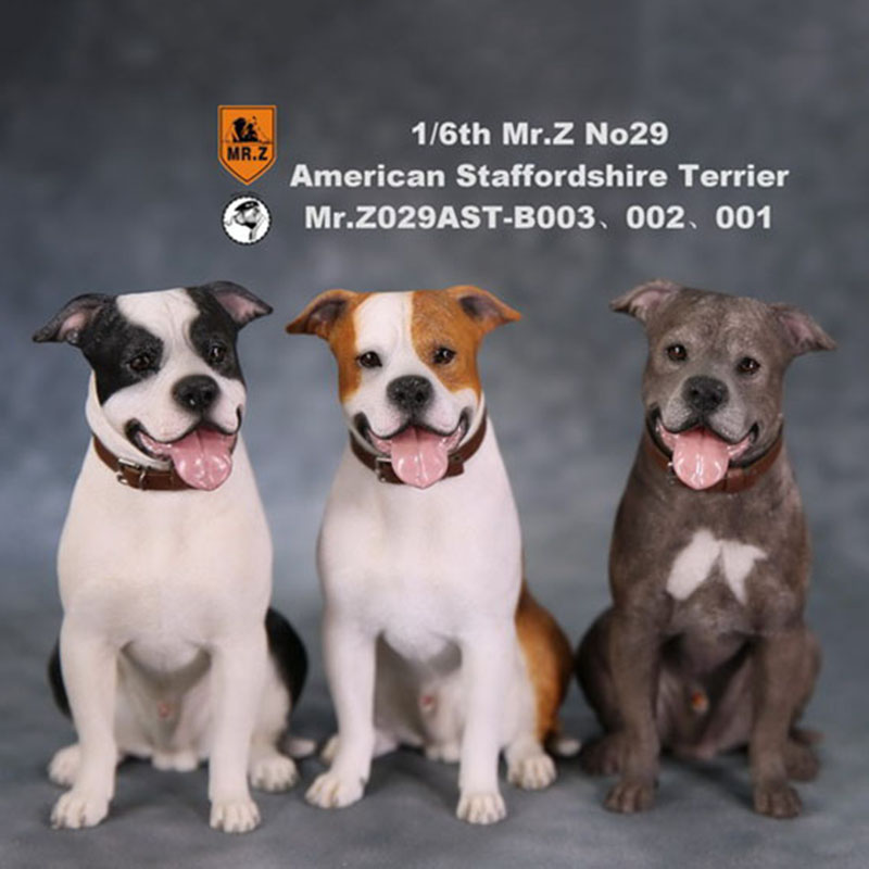 1/6 Mr.Z No.29 American Staffordshire Terrier Dog Simulation Animal Model Toy for Action Figure Doll Decoration Souvenir Gifts 1/6 Mr.Z No.29 American Staffordshire Terrier Dog Simulation Animal Model Toy for Action Figure Doll Decoration Souvenir Gifts