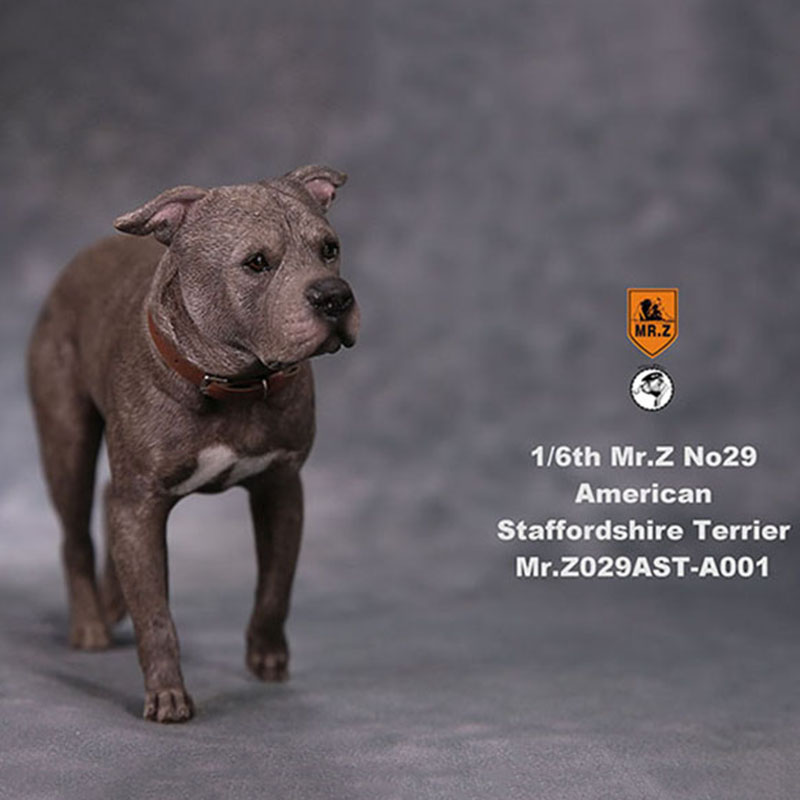 1/6 Mr.Z No.29 American Staffordshire Terrier Dog Simulation Animal Model Toy for Action Figure Doll Decoration Souvenir Gifts 1/6 Mr.Z No.29 American Staffordshire Terrier Dog Simulation Animal Model Toy for Action Figure Doll Decoration Souvenir Gifts