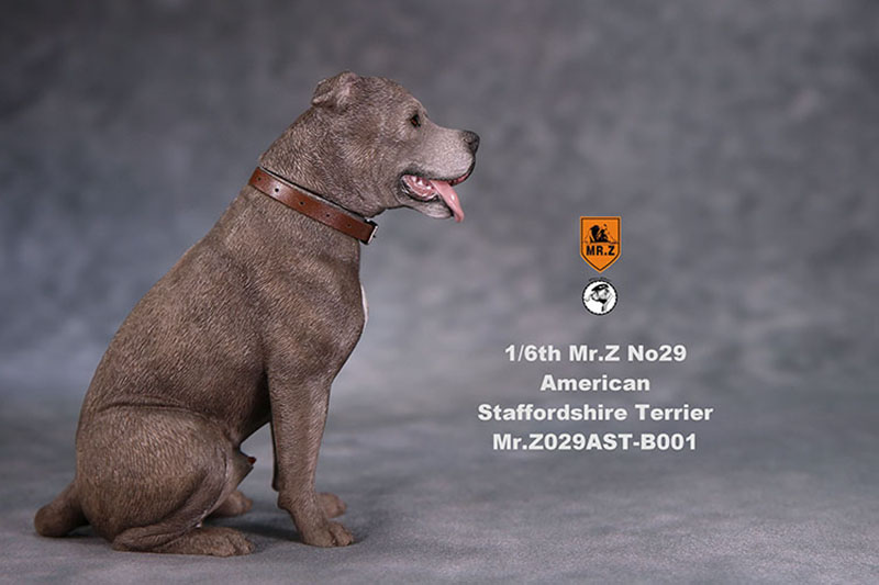 1/6 Mr.Z No.29 American Staffordshire Terrier Dog Simulation Animal Model Toy for Action Figure Doll Decoration Souvenir Gifts 1/6 Mr.Z No.29 American Staffordshire Terrier Dog Simulation Animal Model Toy for Action Figure Doll Decoration Souvenir Gifts