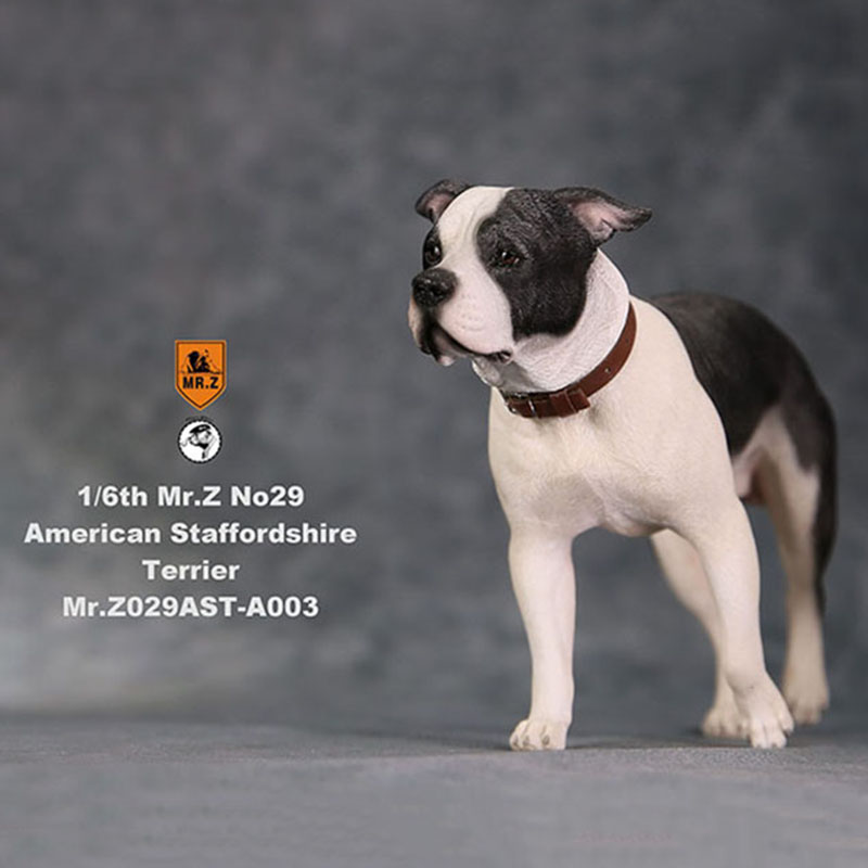 1/6 Mr.Z No.29 American Staffordshire Terrier Dog Simulation Animal Model Toy for Action Figure Doll Decoration Souvenir Gifts 1/6 Mr.Z No.29 American Staffordshire Terrier Dog Simulation Animal Model Toy for Action Figure Doll Decoration Souvenir Gifts