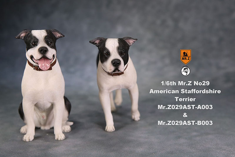 1/6 Mr.Z No.29 American Staffordshire Terrier Dog Simulation Animal Model Toy for Action Figure Doll Decoration Souvenir Gifts 1/6 Mr.Z No.29 American Staffordshire Terrier Dog Simulation Animal Model Toy for Action Figure Doll Decoration Souvenir Gifts