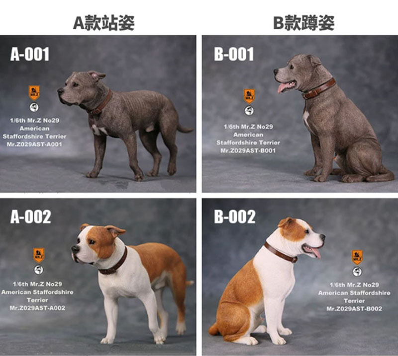 1/6 Mr.Z No.29 American Staffordshire Terrier Dog Simulation Animal Model Toy for Action Figure Doll Decoration Souvenir Gifts 1/6 Mr.Z No.29 American Staffordshire Terrier Dog Simulation Animal Model Toy for Action Figure Doll Decoration Souvenir Gifts