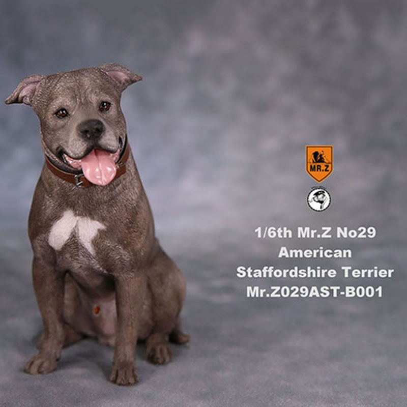 1/6 Mr.Z No.29 American Staffordshire Terrier Dog Simulation Animal Model Toy for Action Figure Doll Decoration Souvenir Gifts 1/6 Mr.Z No.29 American Staffordshire Terrier Dog Simulation Animal Model Toy for Action Figure Doll Decoration Souvenir Gifts