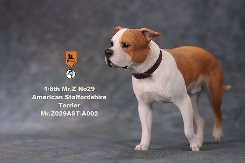 1/6 Mr.Z No.29 American Staffordshire Terrier Dog Simulation Animal Model Toy for Action Figure Doll Decoration Souvenir Gifts 1/6 Mr.Z No.29 American Staffordshire Terrier Dog Simulation Animal Model Toy for Action Figure Doll Decoration Souvenir Gifts