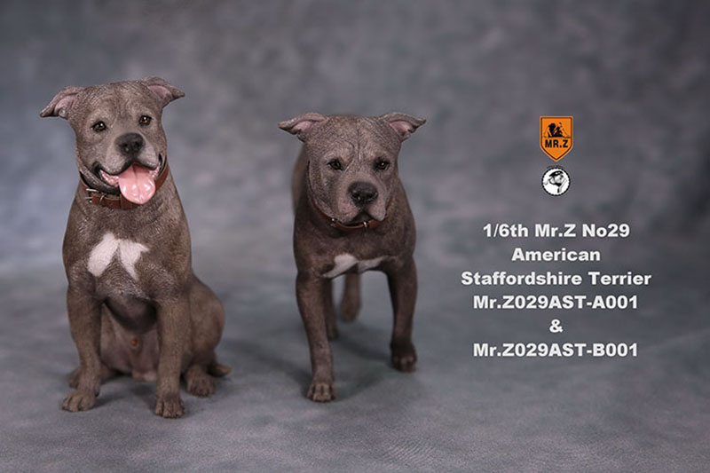 1/6 Mr.Z No.29 American Staffordshire Terrier Dog Simulation Animal Model Toy for Action Figure Doll Decoration Souvenir Gifts 1/6 Mr.Z No.29 American Staffordshire Terrier Dog Simulation Animal Model Toy for Action Figure Doll Decoration Souvenir Gifts