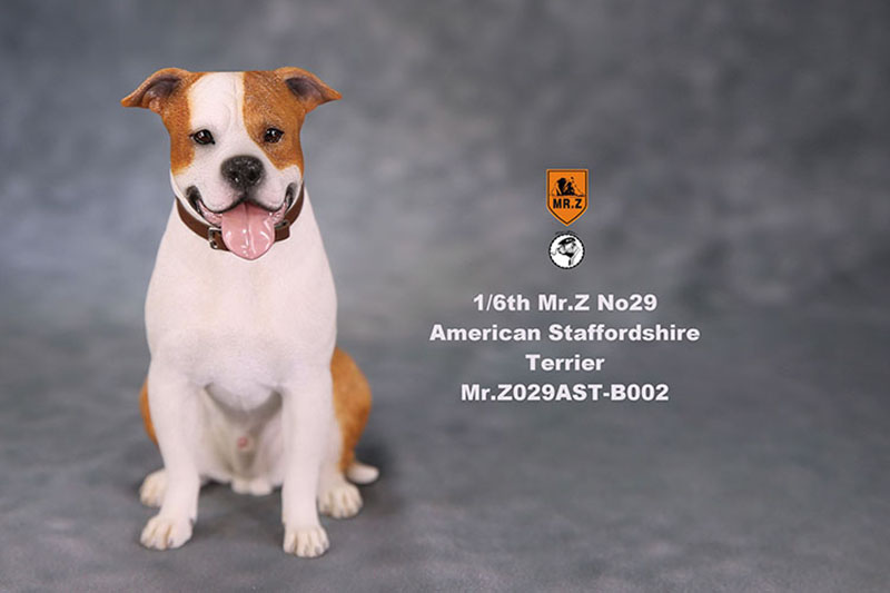 1/6 Mr.Z No.29 American Staffordshire Terrier Dog Simulation Animal Model Toy for Action Figure Doll Decoration Souvenir Gifts 1/6 Mr.Z No.29 American Staffordshire Terrier Dog Simulation Animal Model Toy for Action Figure Doll Decoration Souvenir Gifts