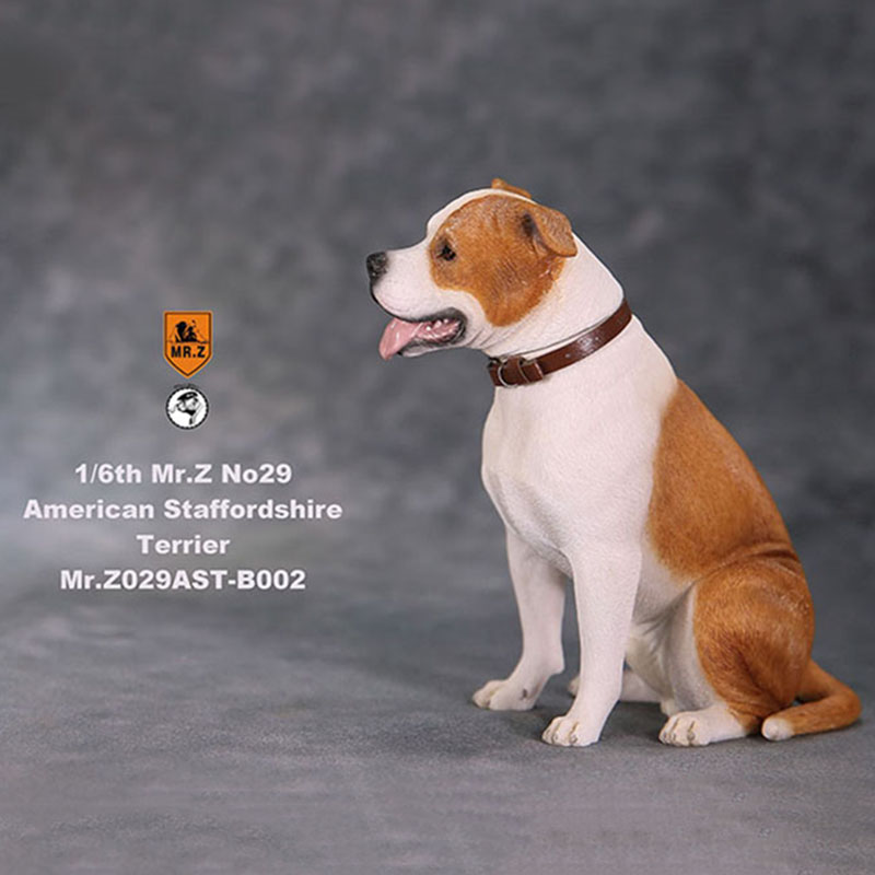 1/6 Mr.Z No.29 American Staffordshire Terrier Dog Simulation Animal Model Toy for Action Figure Doll Decoration Souvenir Gifts 1/6 Mr.Z No.29 American Staffordshire Terrier Dog Simulation Animal Model Toy for Action Figure Doll Decoration Souvenir Gifts